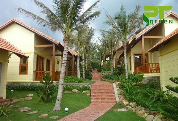 Dịch vụ bảo dưỡng cây xanh Phú Quốc