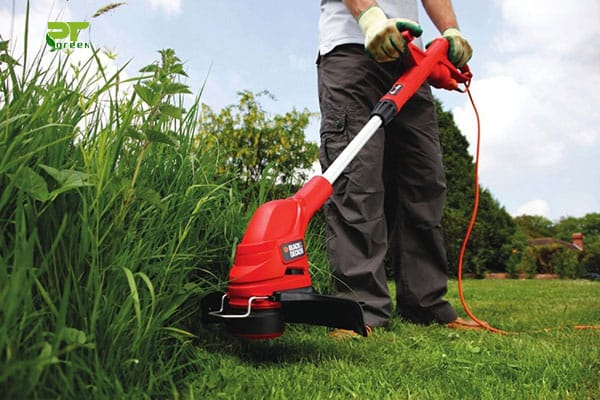 Dịch vụ bảo dưỡng cây xanh Phú Quốc
