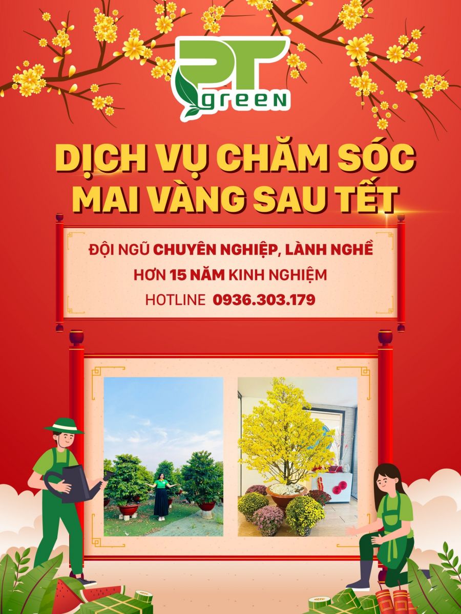 Dịch vụ chăm sóc Mai sau tết