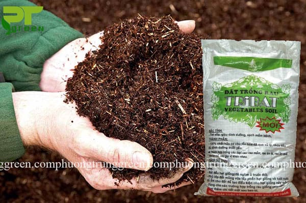 Cung cấp đất sạch trồng cây Phương Trung Green