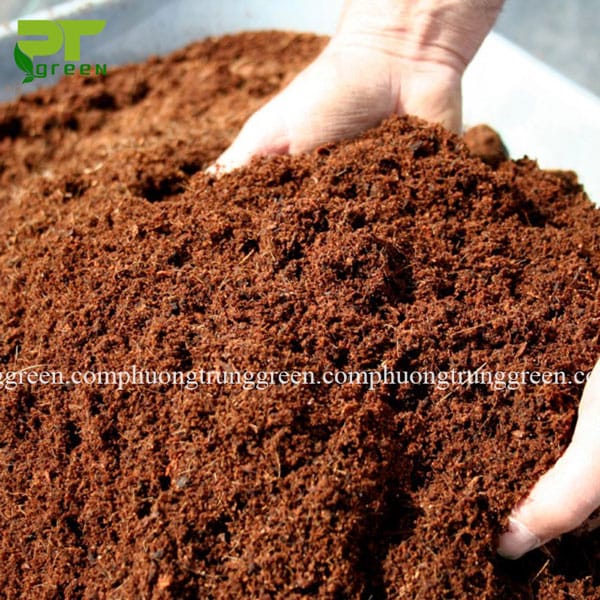 Cung cấp đất sạch trồng cây Phương Trung Green