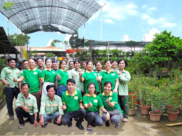 Dịch vụ diệt cỏ gấu tận gốc
