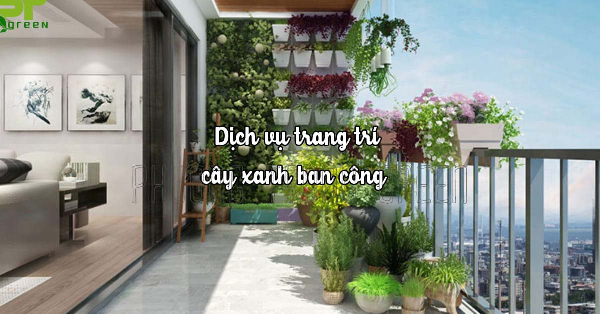 Dịch vụ trang trí cây xanh ban công tại Phương Trung Green