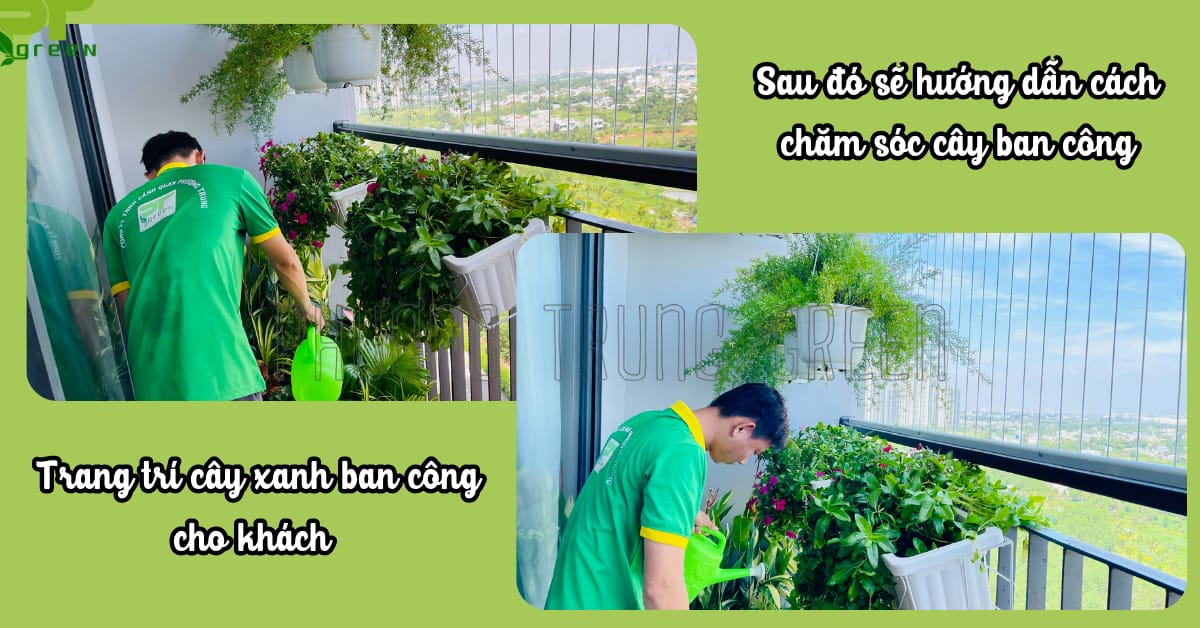 Quá trình thi công, trang trí cây xanh ban công tại PTGreen