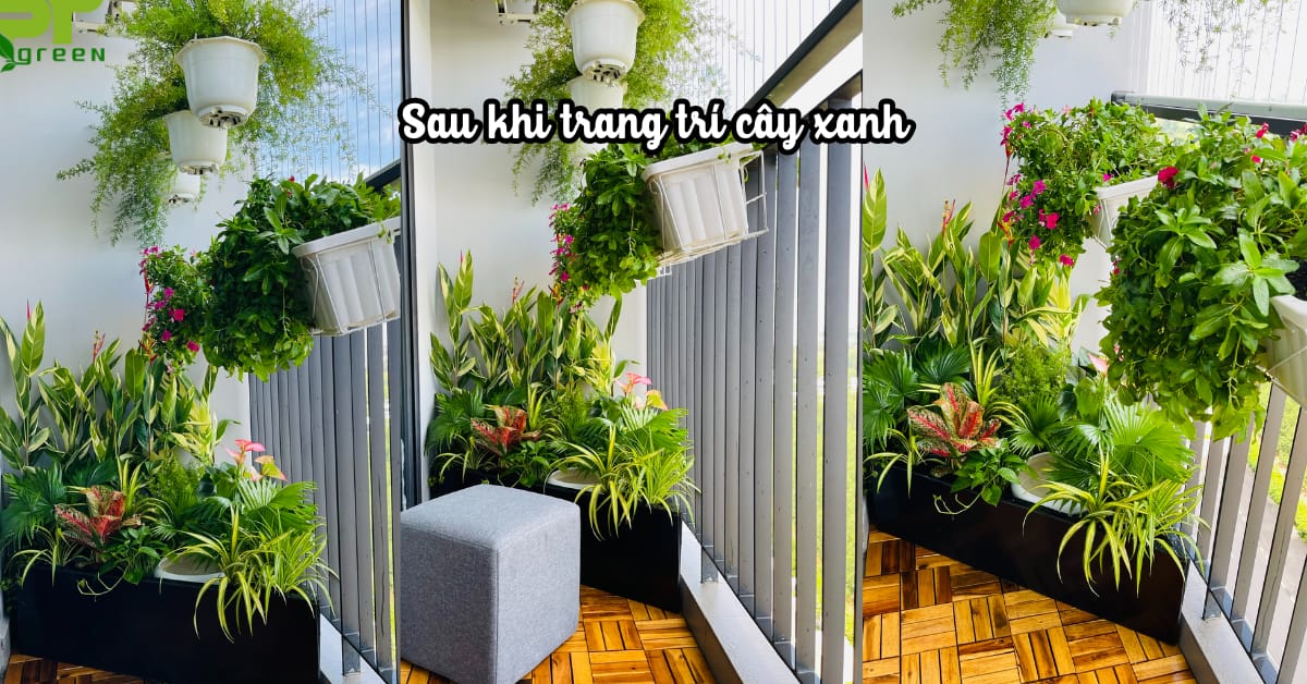 Hô biến không gian ban công thành vườn cây mini xanh mát