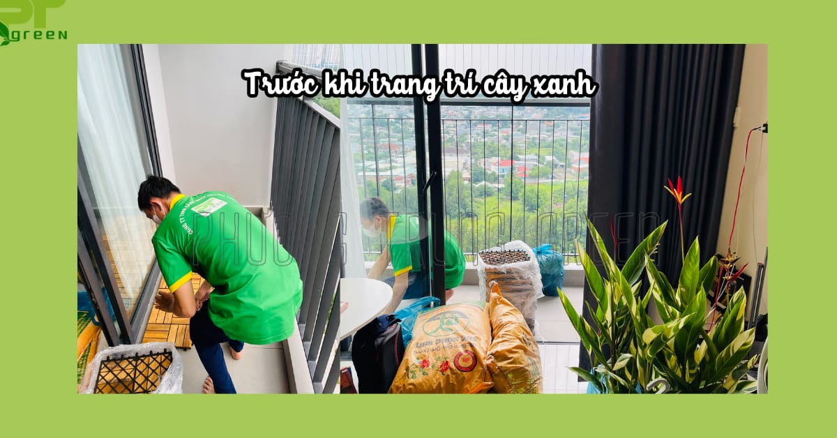 Hình ảnh trước khi trang trí cây xanh