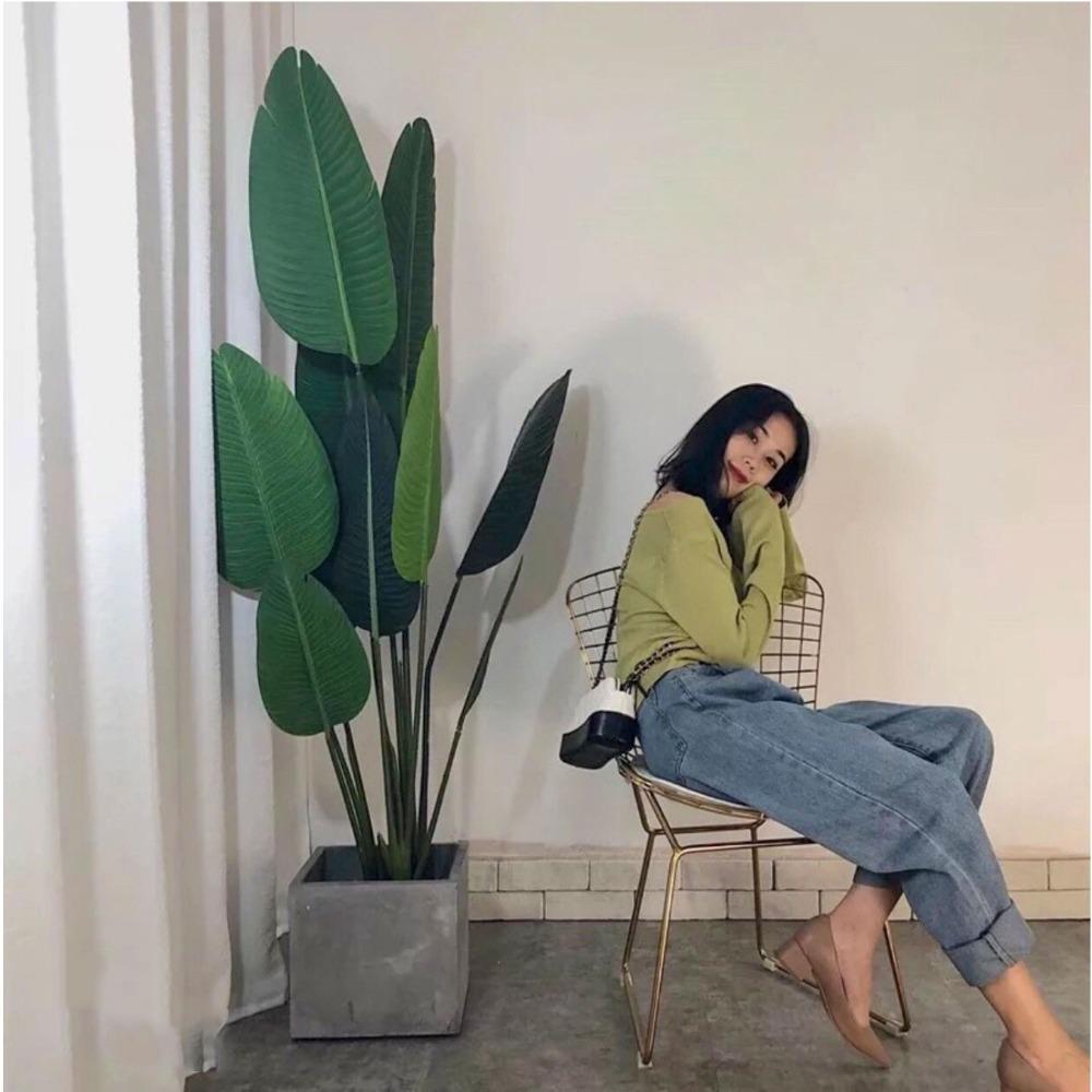 Chuối rẻ quạt giả