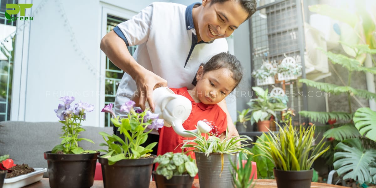 Tưới nước hợp lý