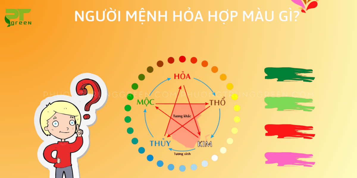 cây phong thủy hợp mệnh hỏa