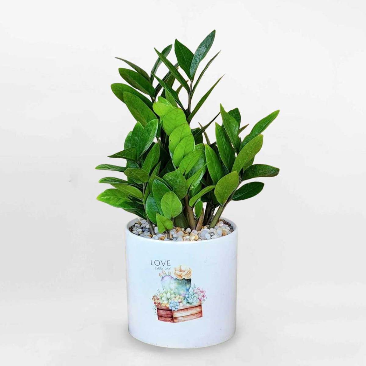 cây hợp mệnh kim