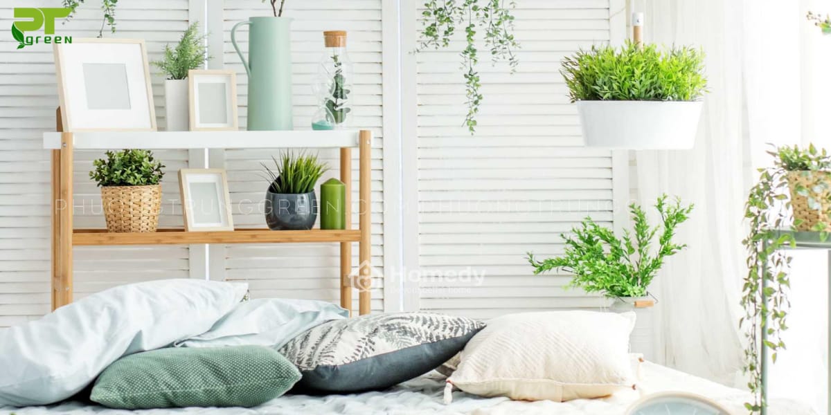 Tiêu chí chọn cây đặt trong phòng ngủ