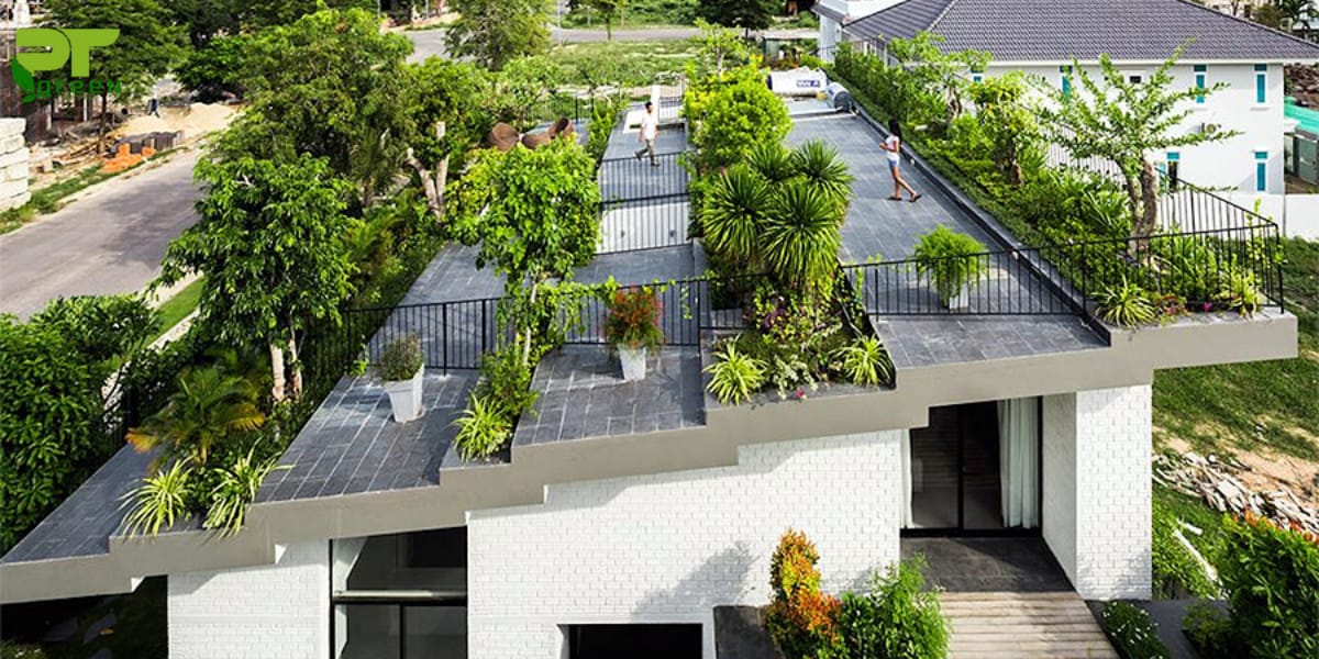 Trồng cây trên mái nhà