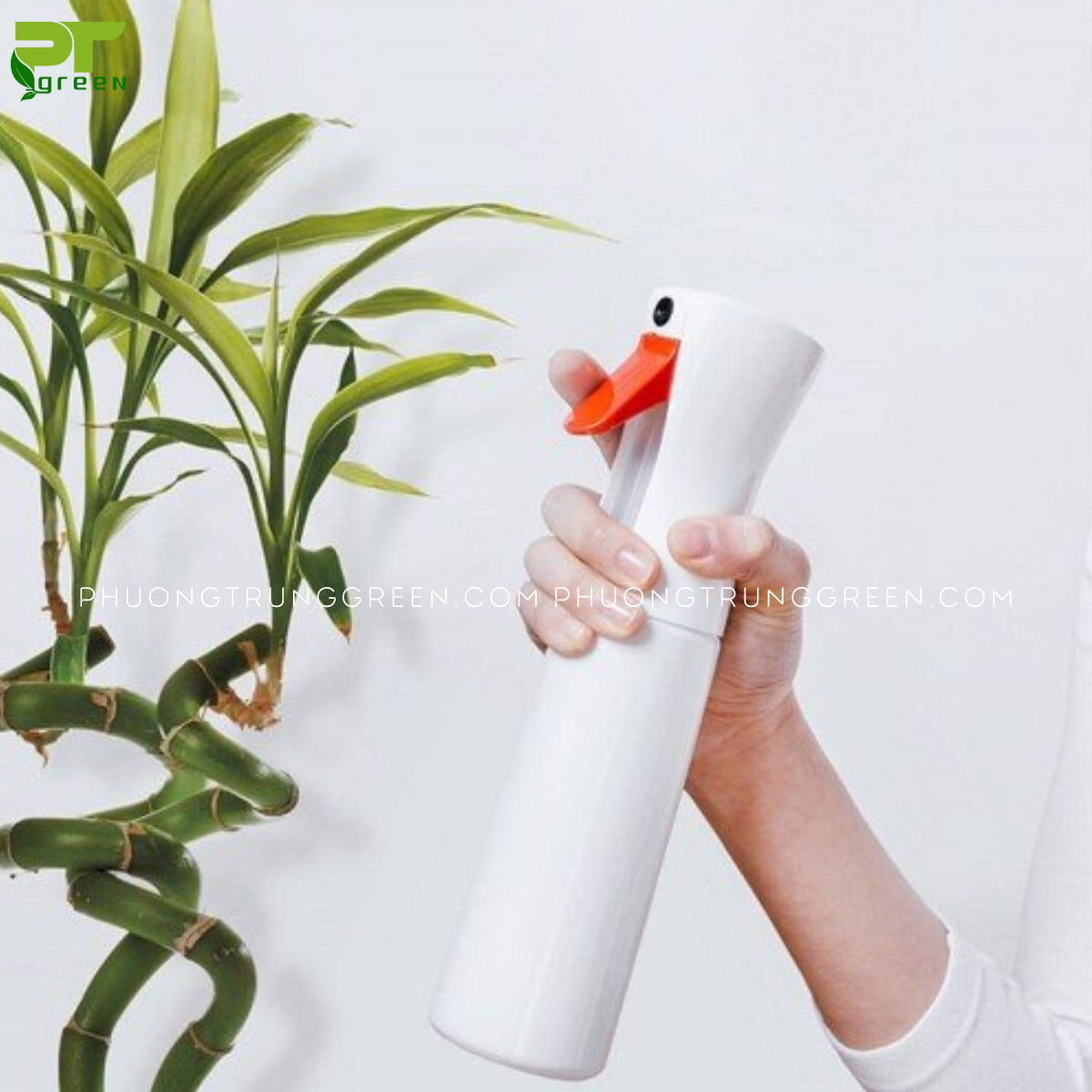 Không nên dùng thuốc trừ sâu cho cây cảnh trong nhà