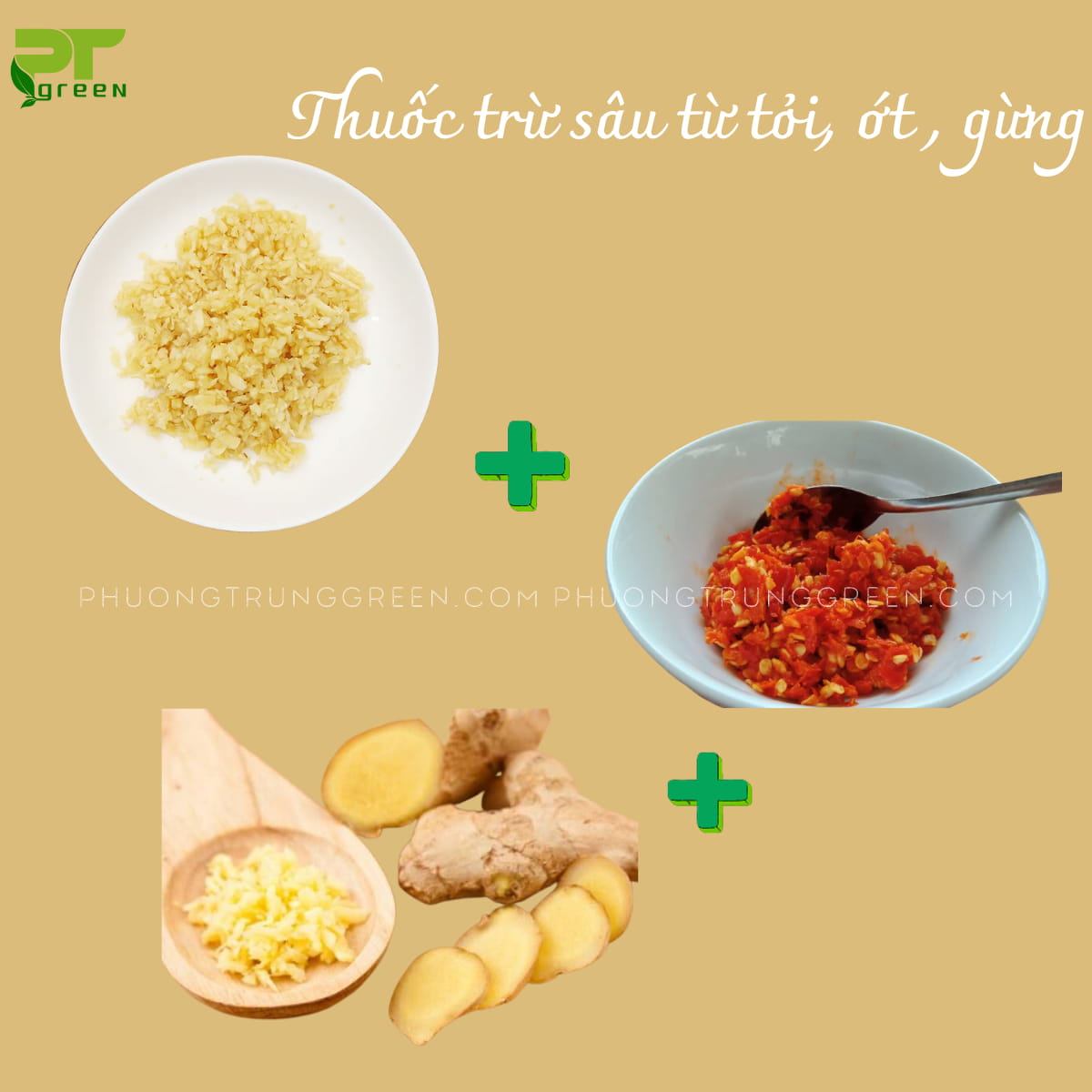 thuốc trừ sâu cho cây cảnh chế biến từ nguyên liệu thiên nhiên