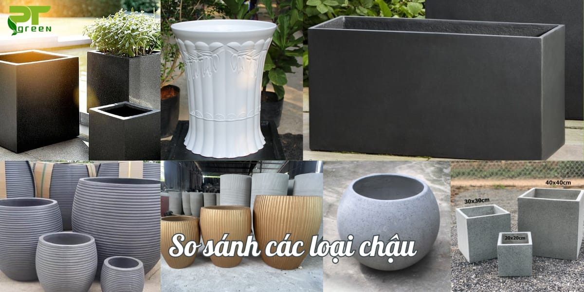 Các loại chậu cây