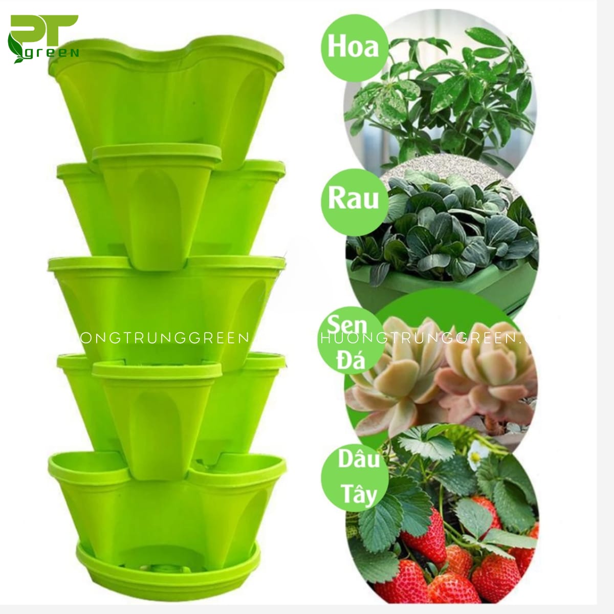 Tháp trồng cây thông minh
