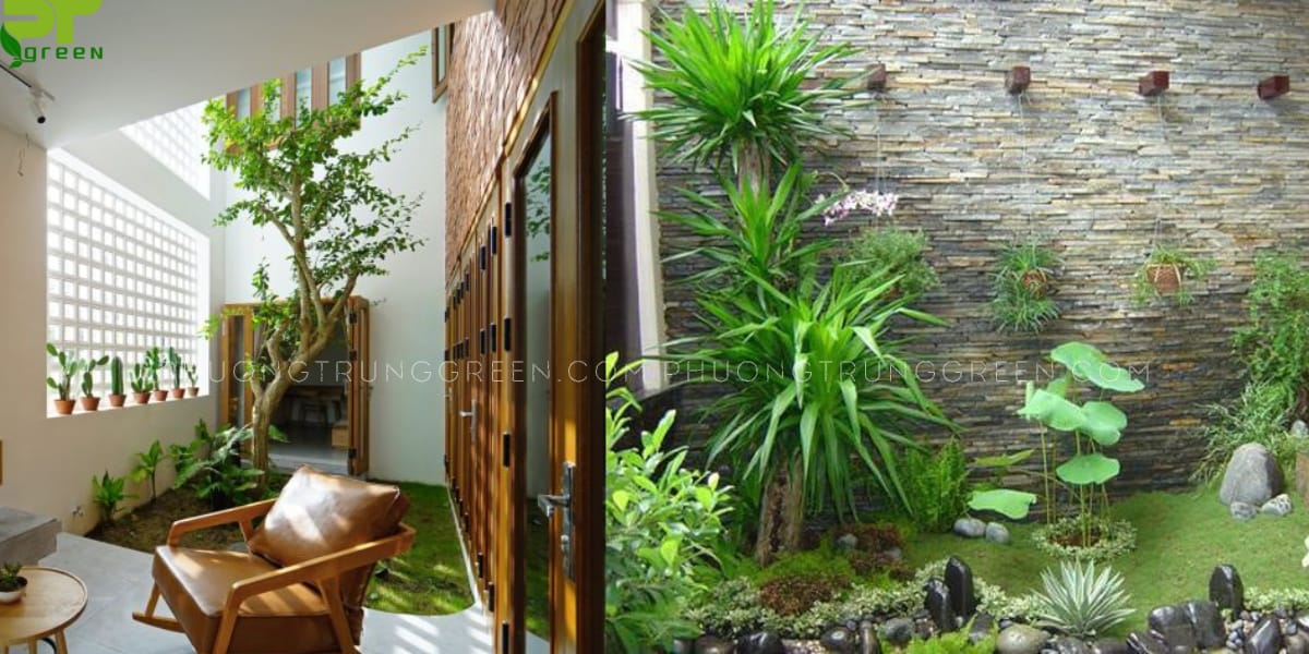 Tiểu cảnh cây xanh giếng trời