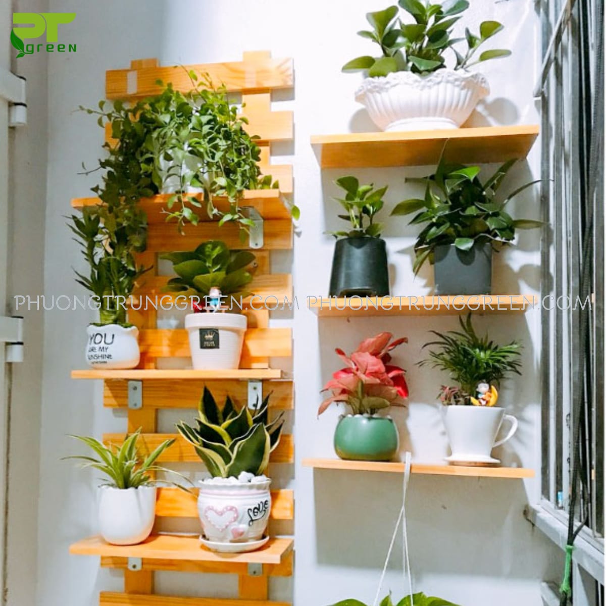 Gỗ ốp tường ban công trồng cây