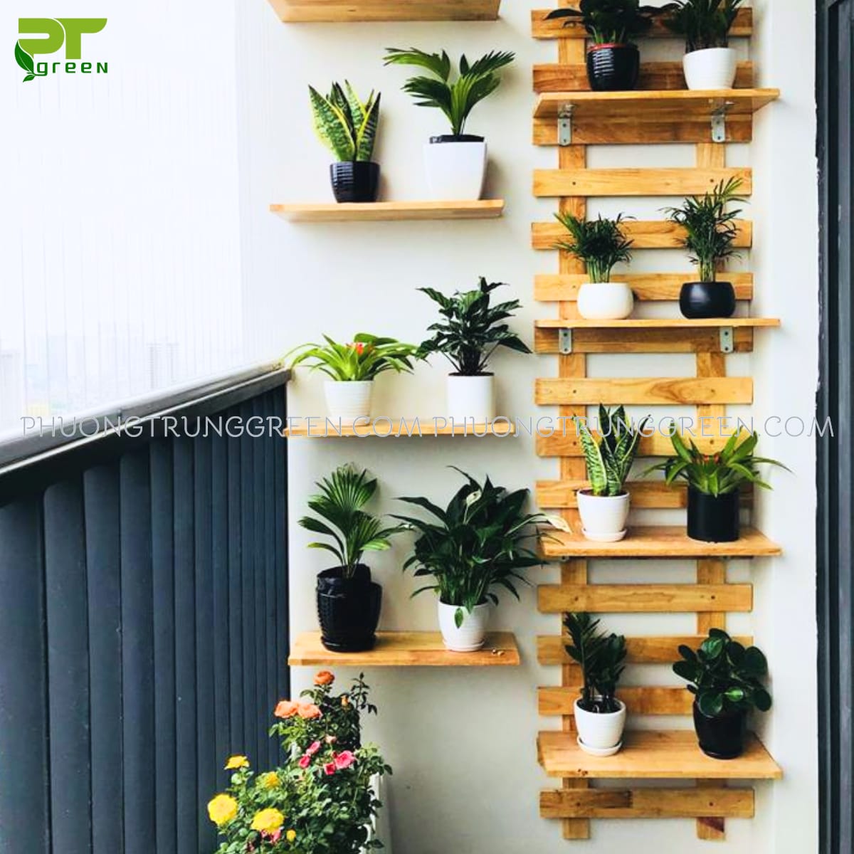 Ốp gỗ thanh ngang và kệ gỗ đặt chậu