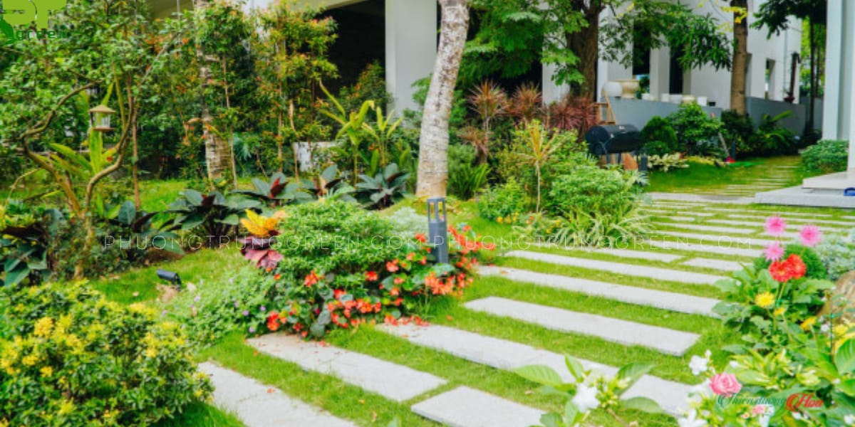 Thiết kế cảnh quan sân vườn