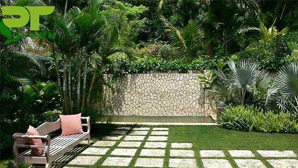 Thiết kế cảnh quan sân vườn