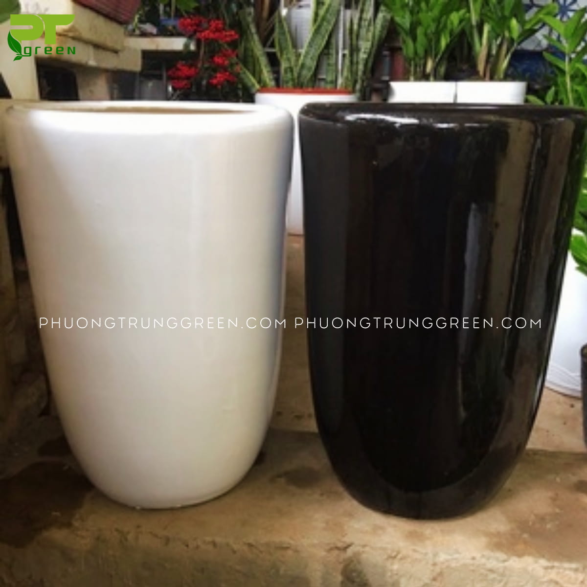 Chậu sứ bơm màu trắng đen