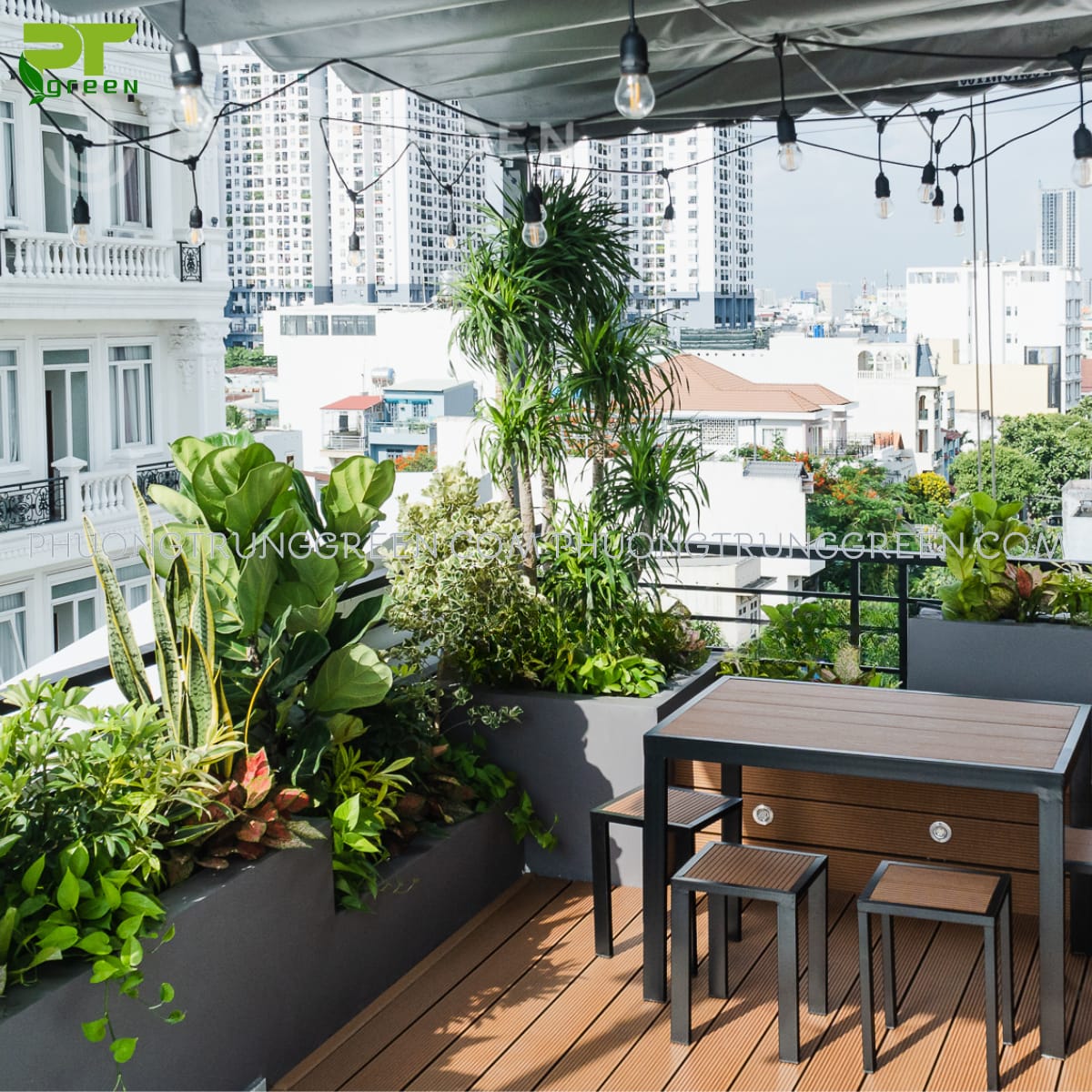 Trồng cây trên sân thượng