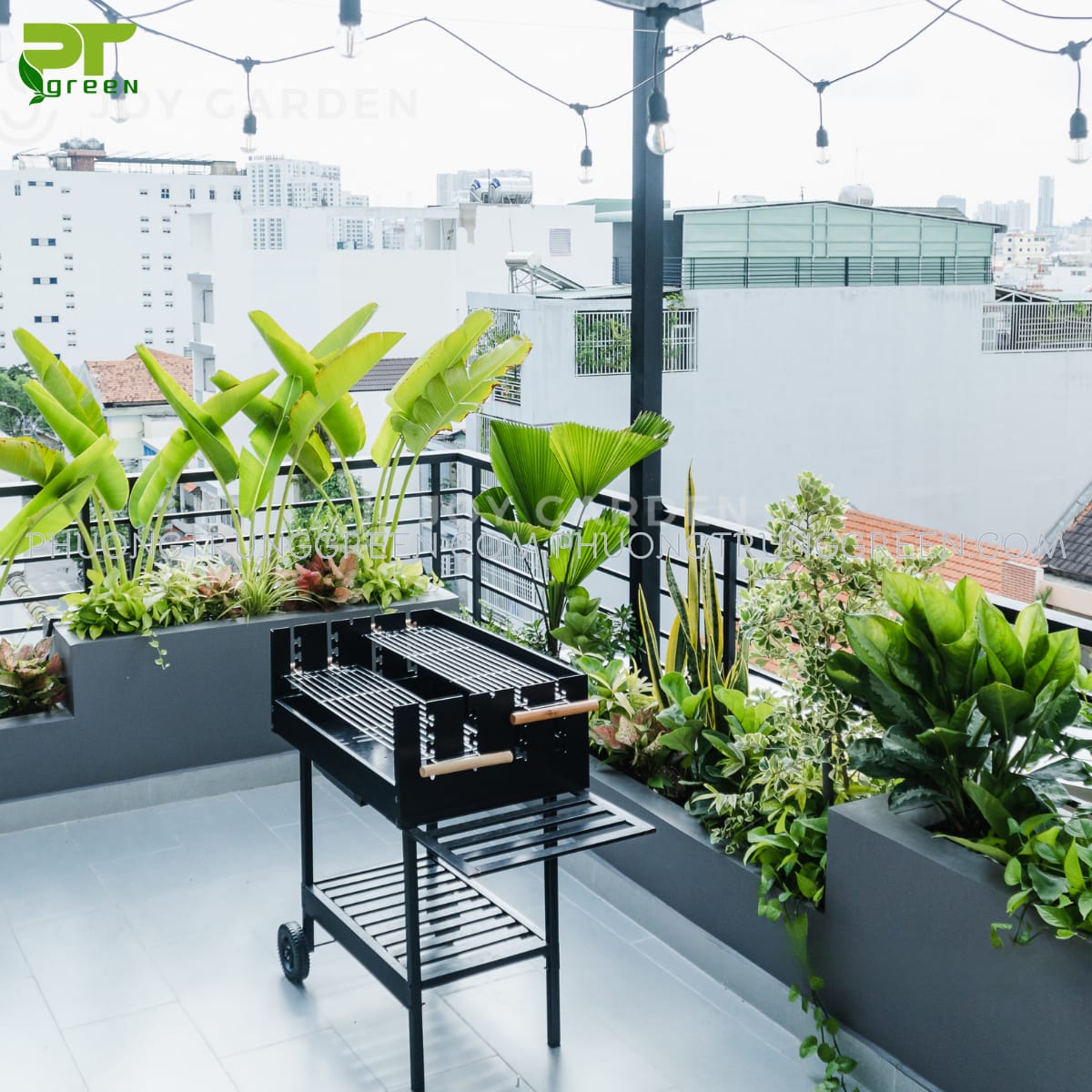 Cây trồng trên sân thượng