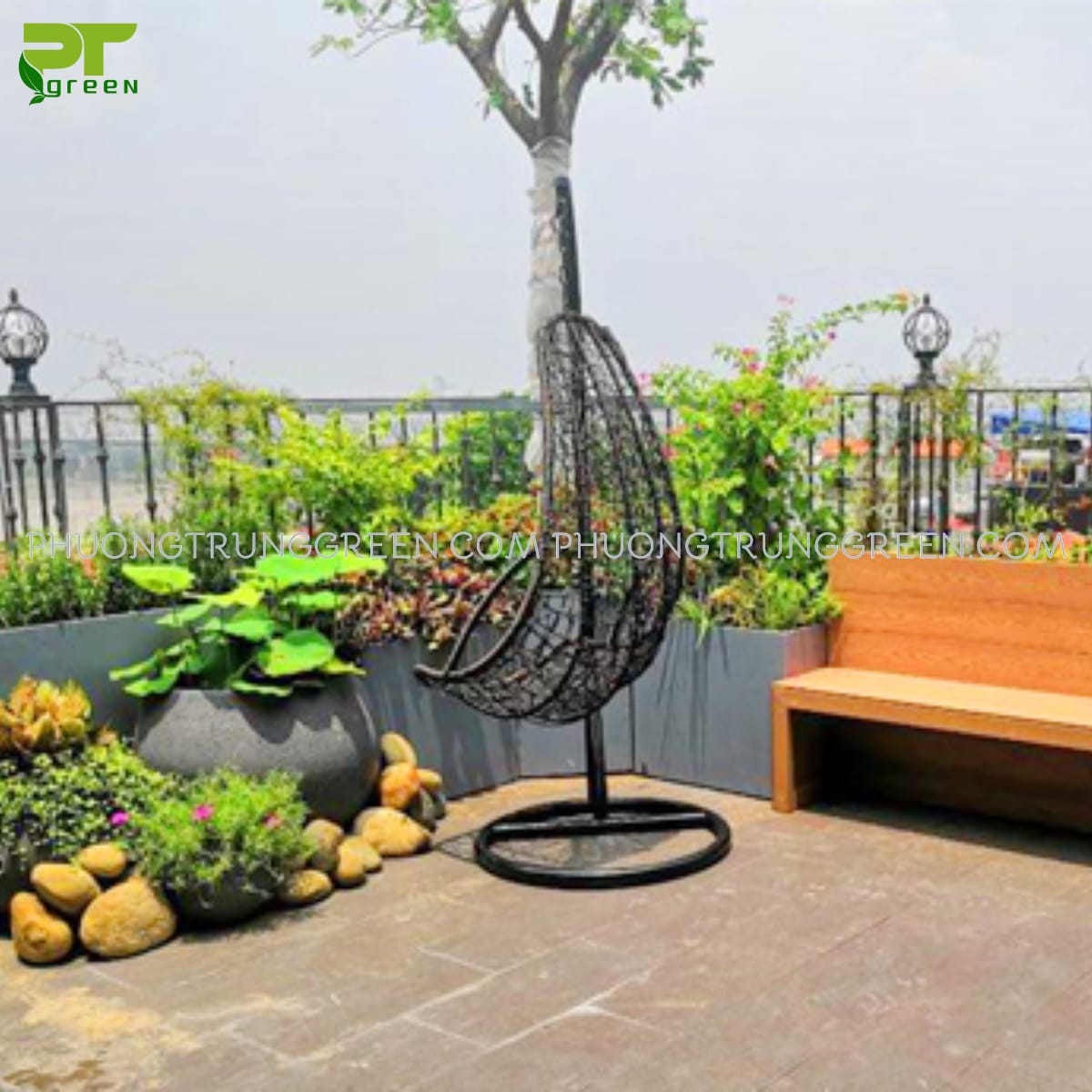 Cây trồng trên sân thượng