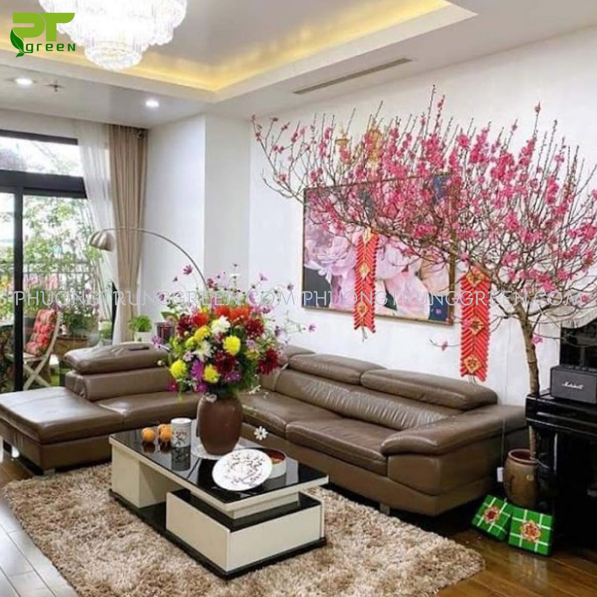 Lưu ý khi bố trí cây cảnh Tết trong nhà