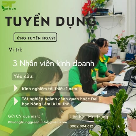 Tuyển dụng nhân viên kinh doanh