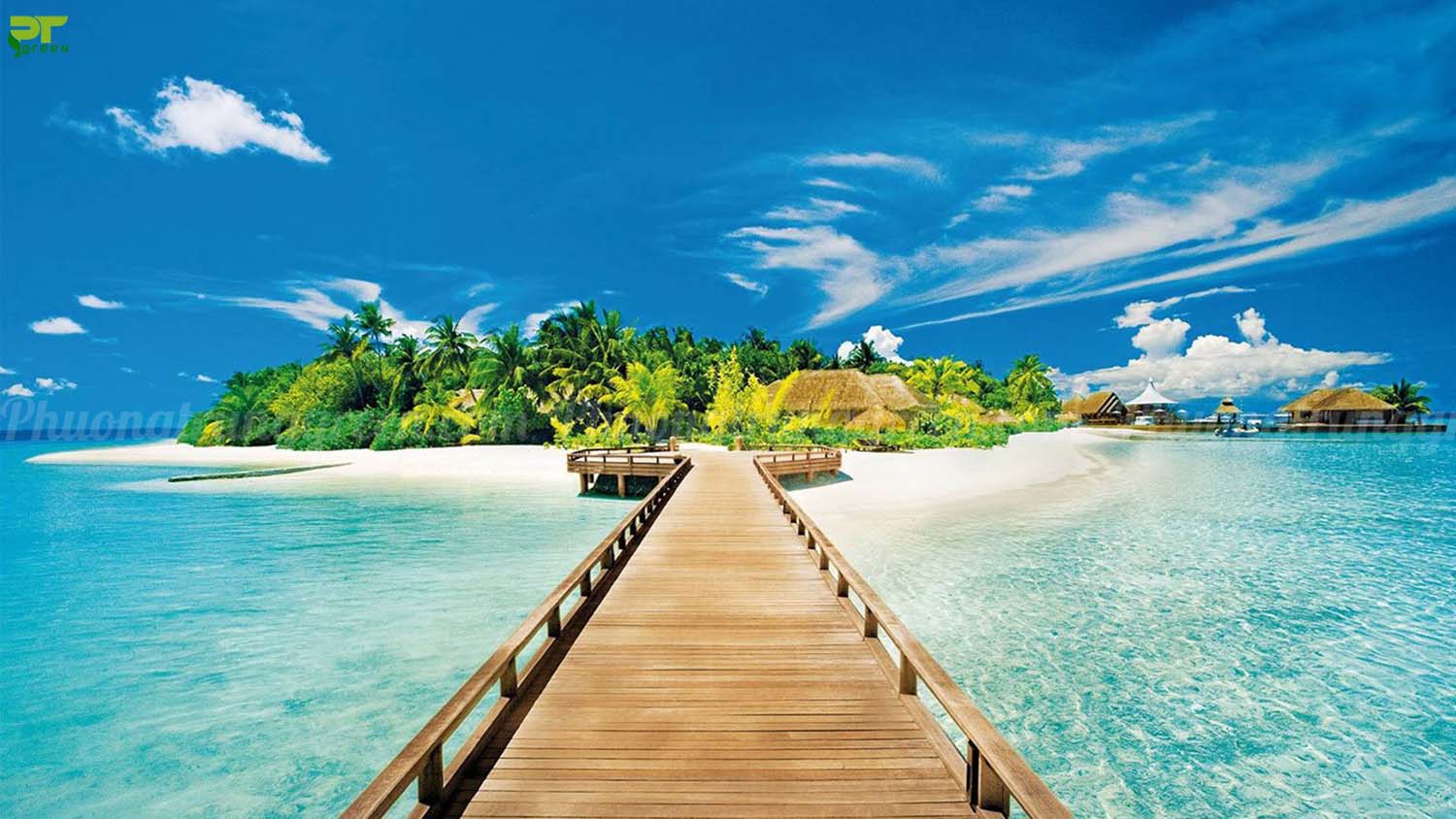 /resource/gellary/images/cn-Phu-Quoc/Bao-duong-cay-xanh/Du-an-xu-ly-co-dai-tai-Marriott-Sun-Group-2.jpg