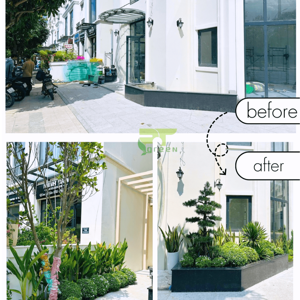 Thi công trồng tiểu cảnh bồn cây tại Vinhomes Grand Park Thủ Đức