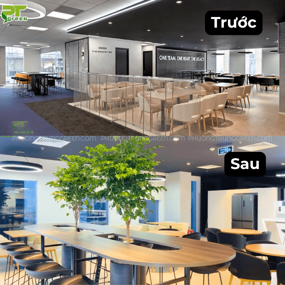  Trang trí cây xanh khu vực teamwork