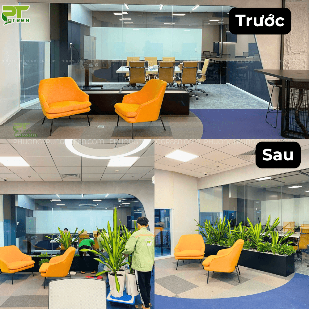 Trang trí cây xanh khu vực phòng họp