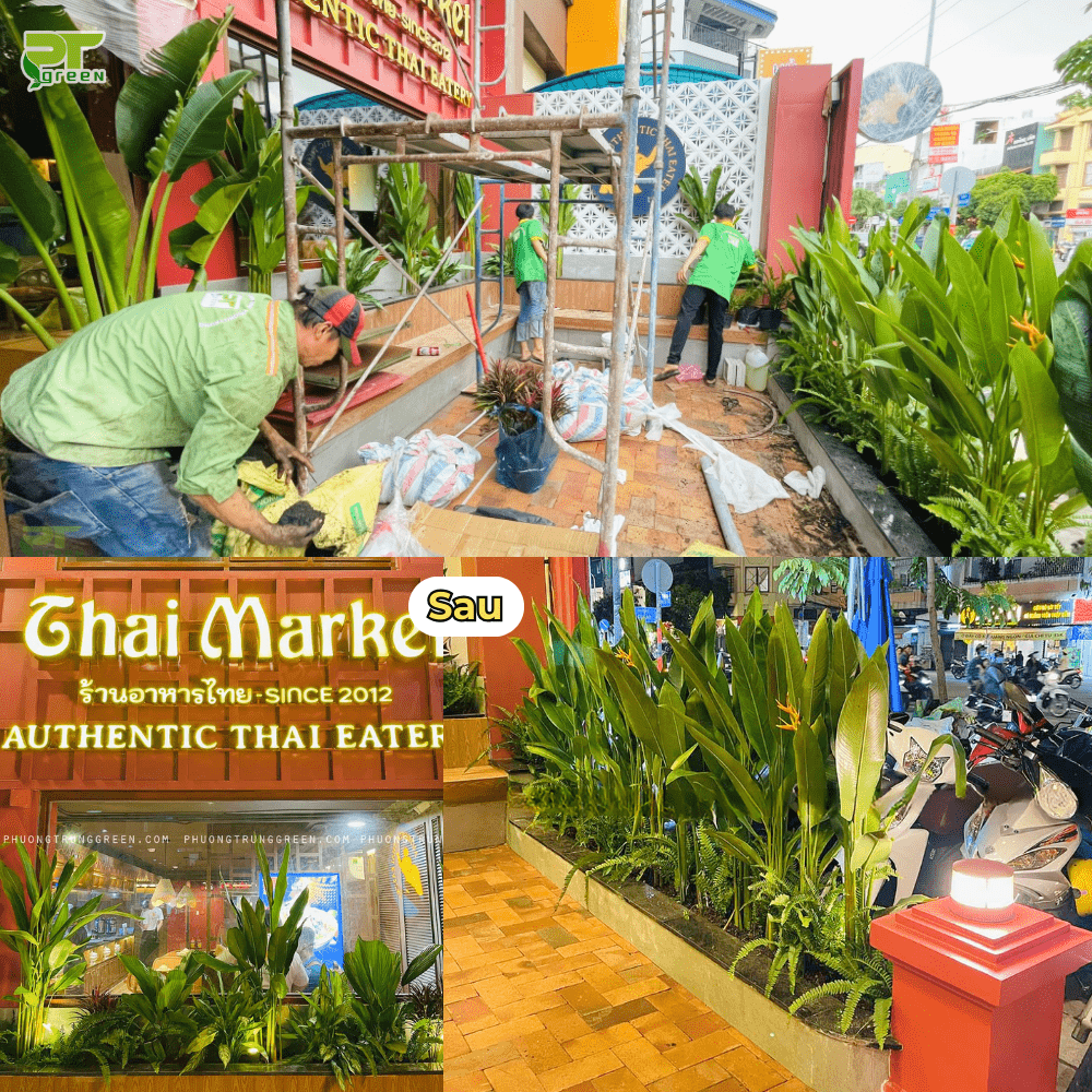 Khu vực sân, sảnh chờ