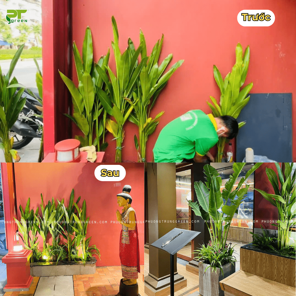 Setup cây hai bên cửa ra vào