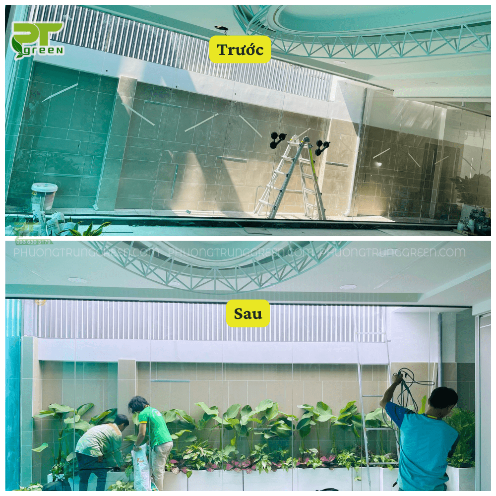 Trang trí cây xanh giếng trời