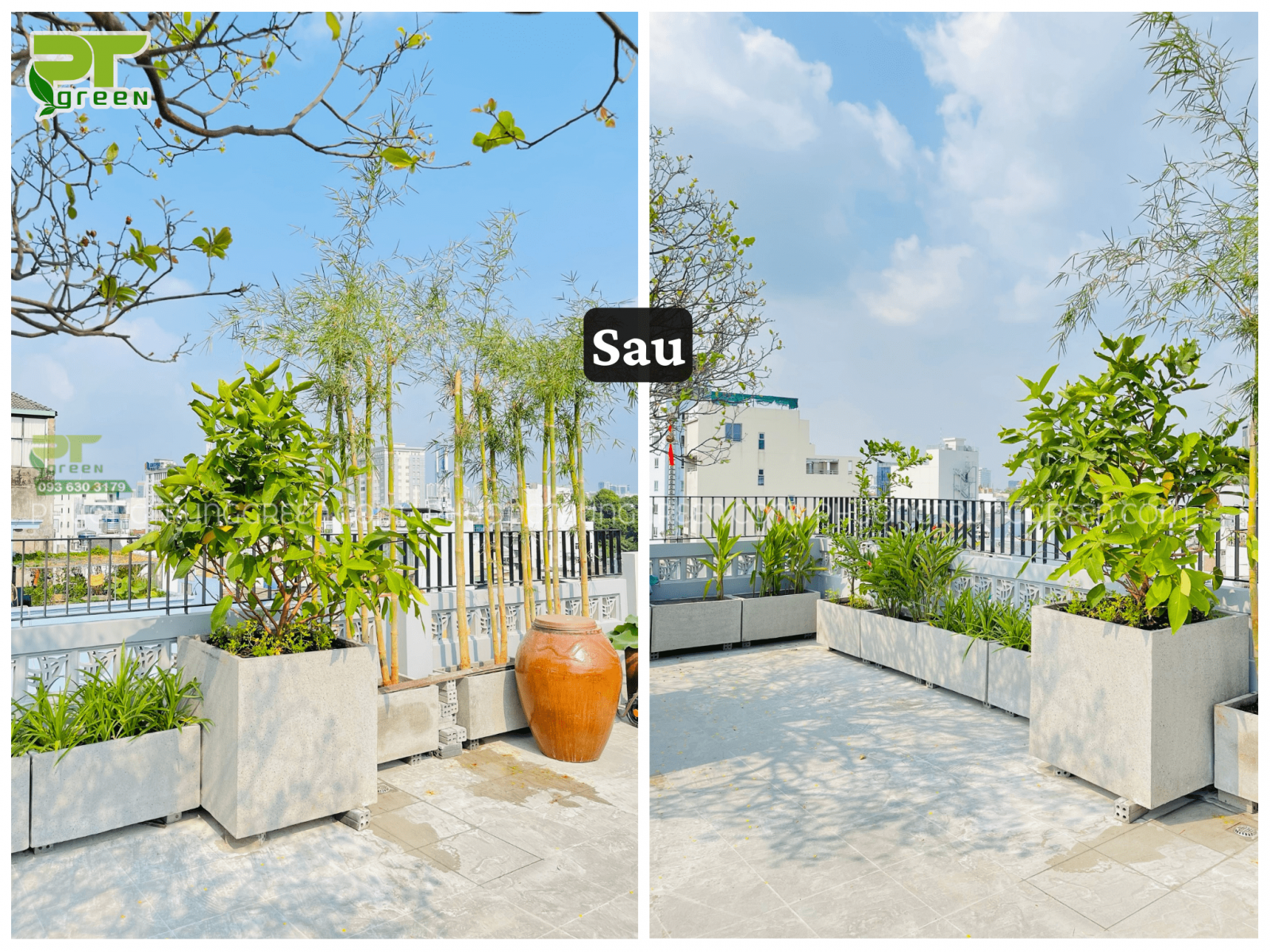 Trúc cần câu, nguyệt quế trồng trên sân thượng tạo điểm nhấn