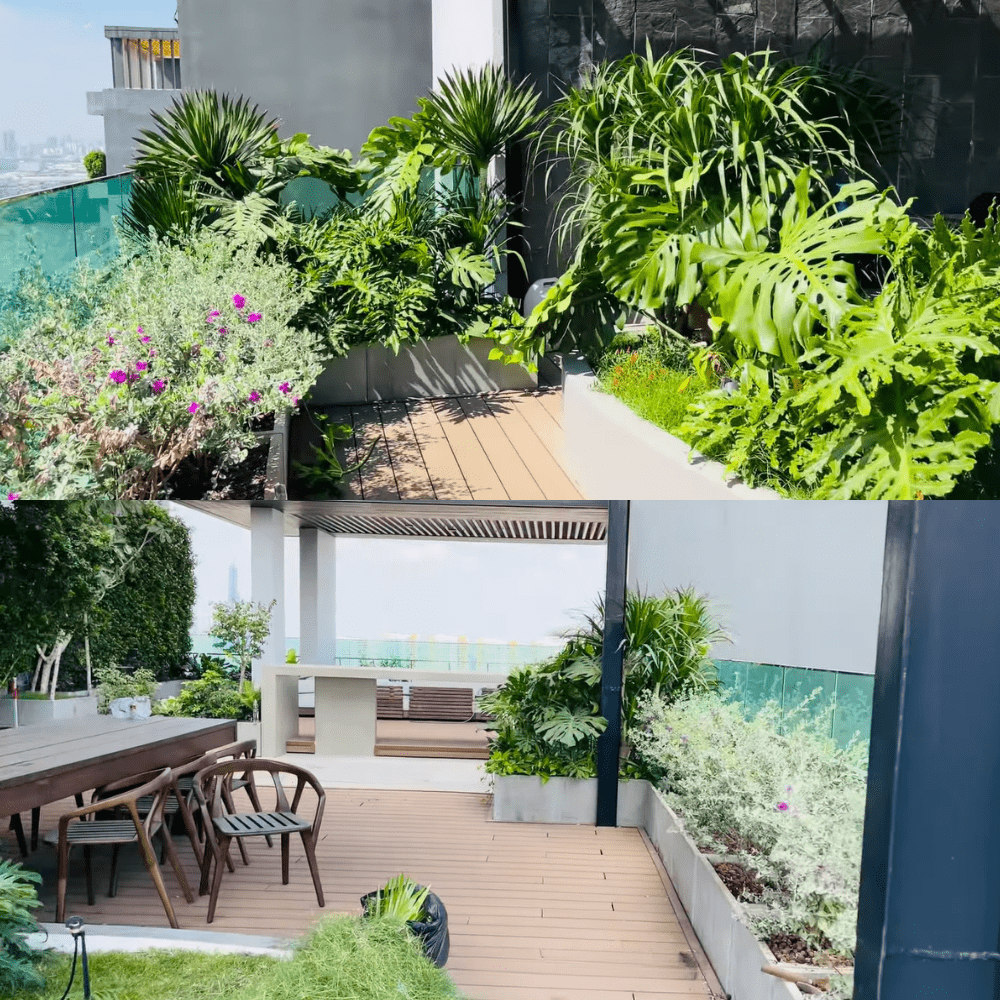 Các loại cây hợp với thiết kế sân vườn hiện đại