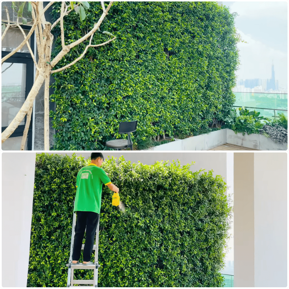 Khâu chăm sóc, bảo dưỡng cây tại PT Green