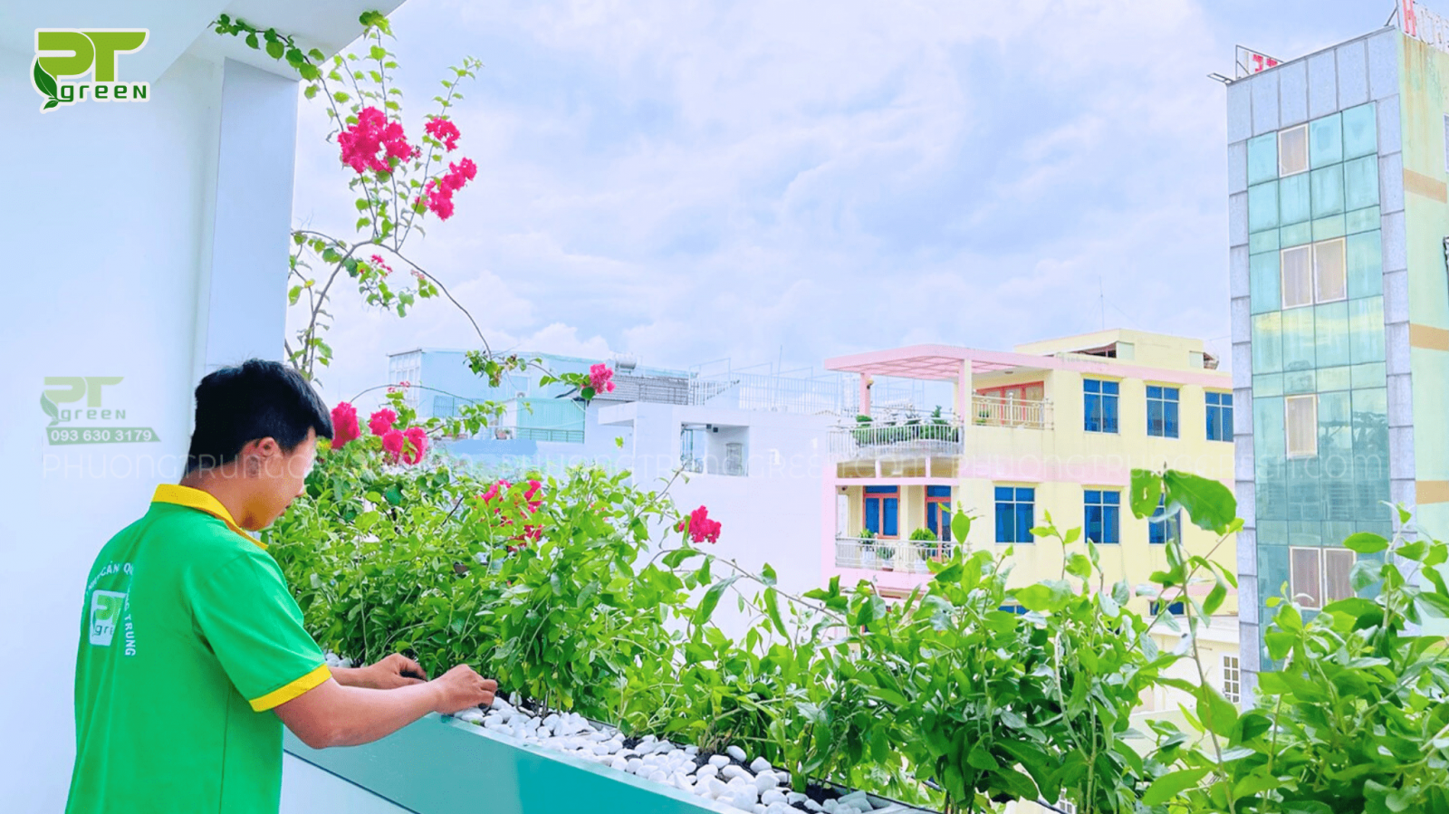 Trang trí cây xanh ban công công ty