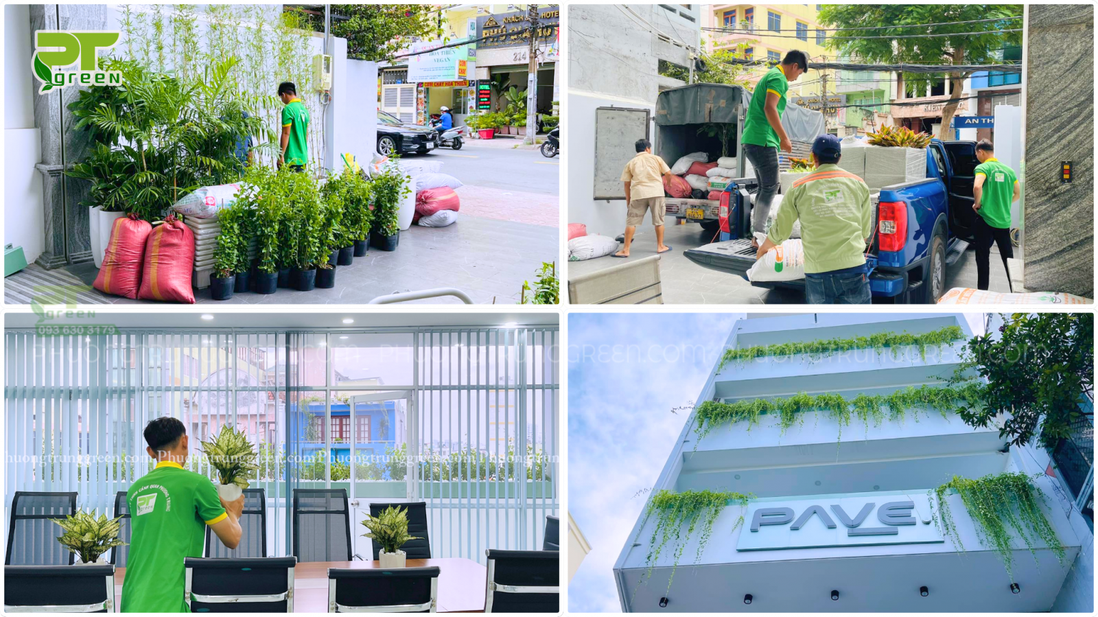 Lợi ích của dịch vụ thuê cây xanh văn phòng