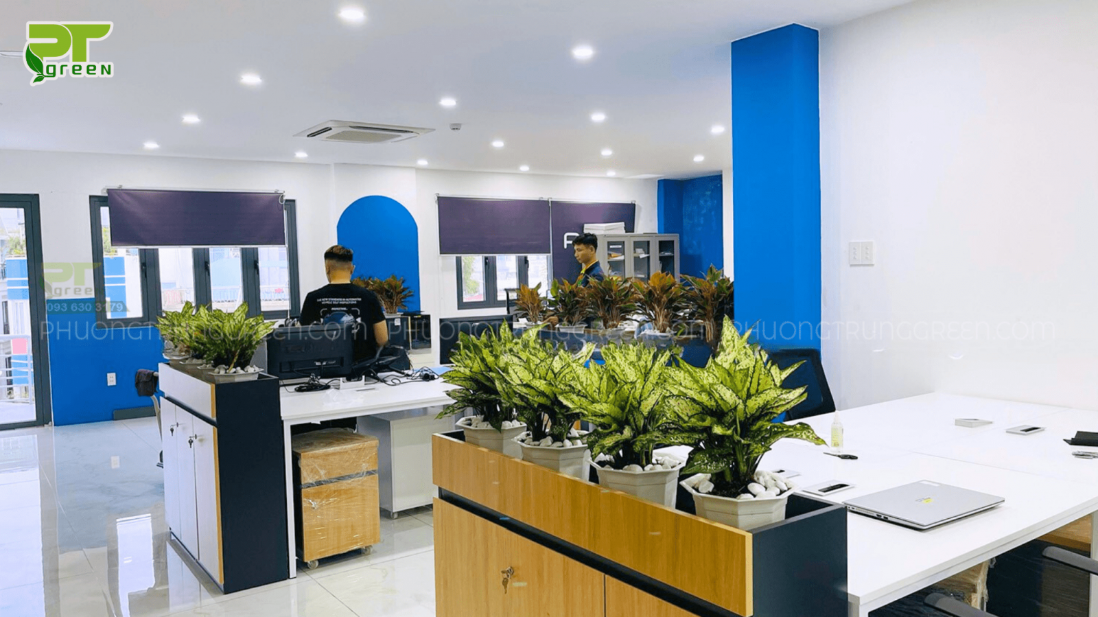 Setup cây xanh tại văn phòng làm việc