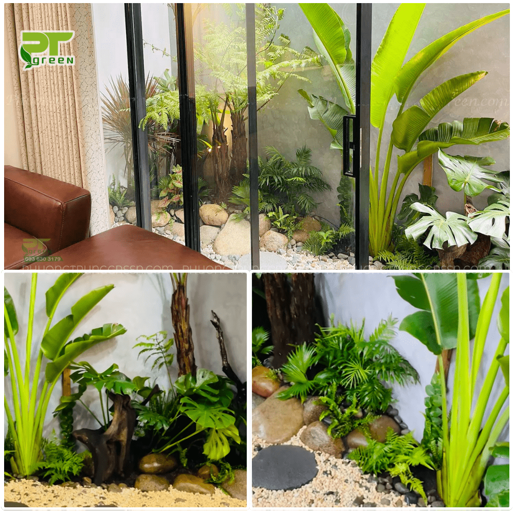 Tiểu cảnh giếng trời tại phòng khách