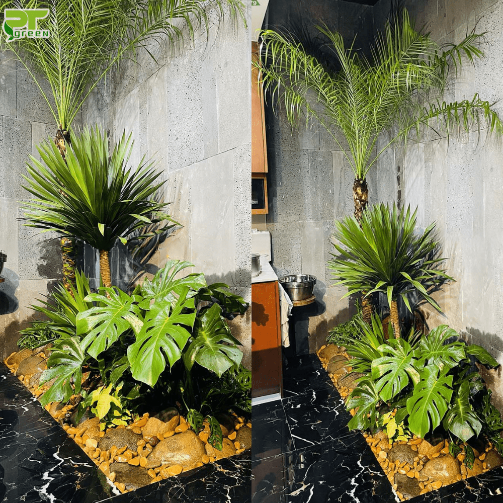 Tiểu cảnh cây xanh phong cách rừng nhiệt đới