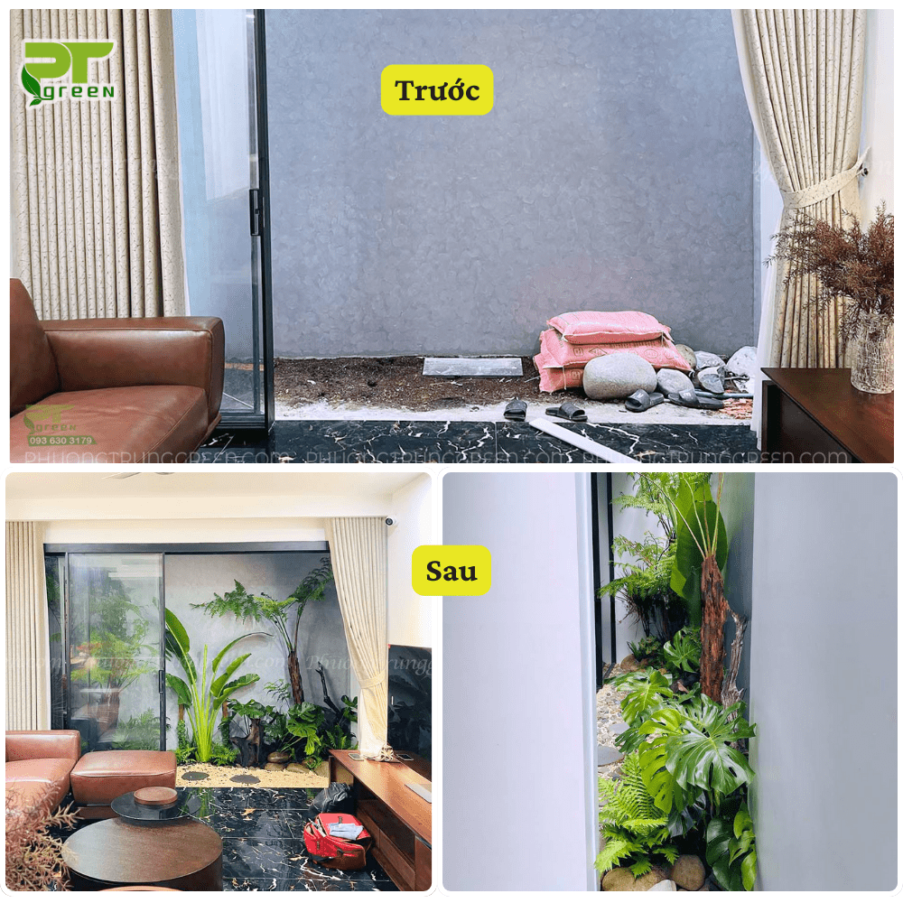 Tiểu cảnh cây xanh giếng trời