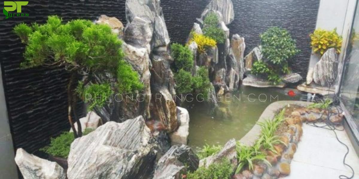 Cây tùng la hán trồng hòn non bộ