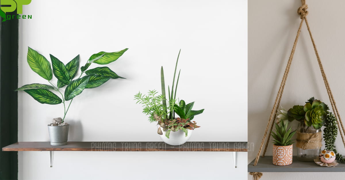 Trang trí cây xanh bằng cách treo kệ gỗ