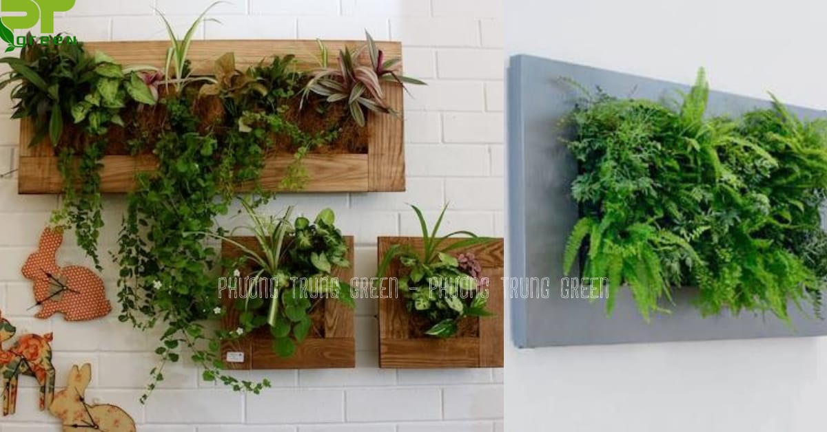 Ý tưởng tranh cây cảnh treo tường